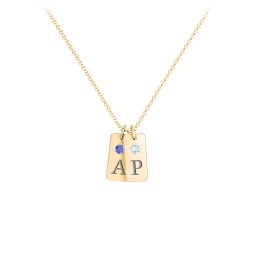 Small Initial 2 Tag Necklace with Birthstone in 18K Gold Plated Silver with Fancy Blue Premium Zirconia, Aquamarine, Cubic Zirconia, Amethyst Premium Zirconia, and Fancy Pink Premium Zirconia